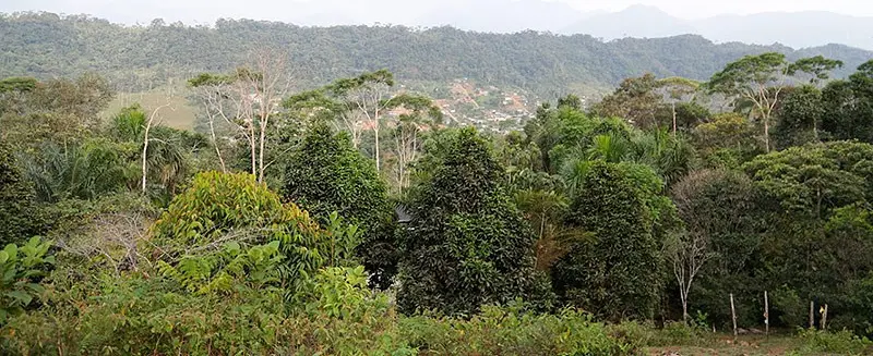 Bosques Protegidos